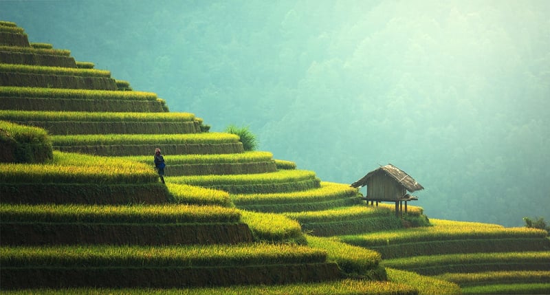 Sustainable Agriculture