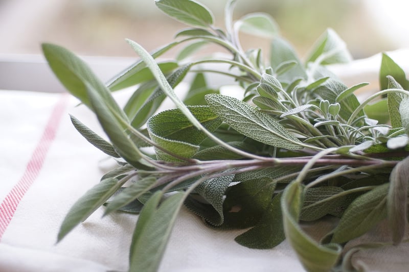 Herbs Garden